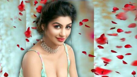 ওয়েব সিরিজ