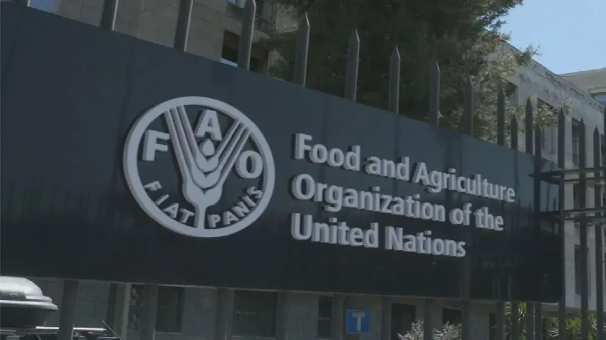 What the 2026 FAO Internship Offers for Near East and North Africa