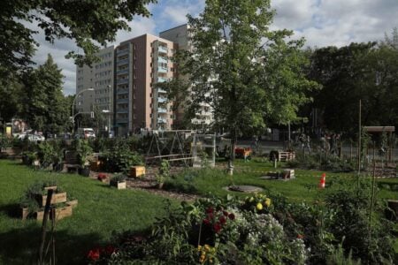 Why Urban Gardening Is Gaining Popularity in City Apartments