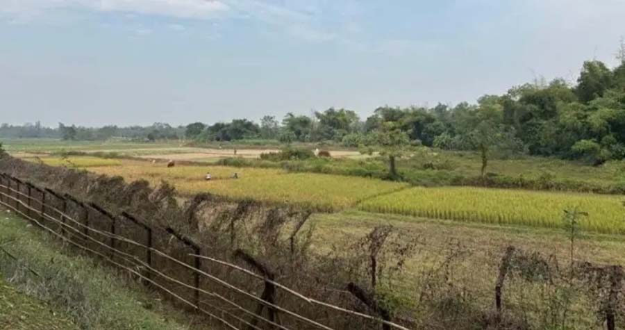 বাংলাদেশিকে কুপিয়ে হত্যা