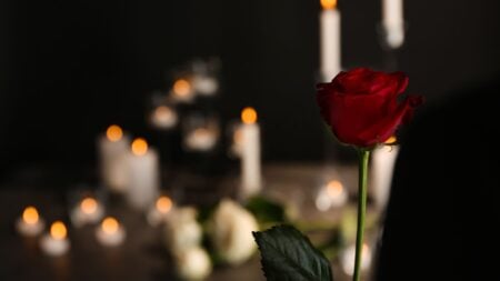 Drew Struzan movie posters