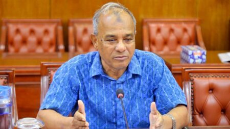 স্বরাষ্ট্র উপদেষ্টা