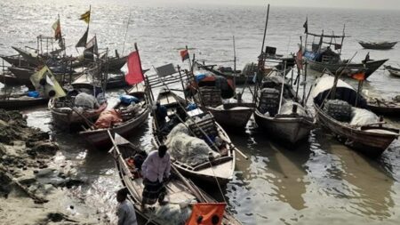 ইলিশ ধরা