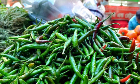 কাঁচা মরিচের দাম