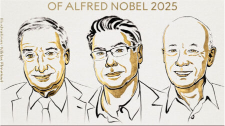 অর্থনীতিতে নোবেল