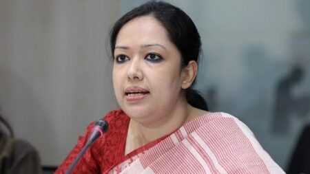 রুমিন ফারহানা