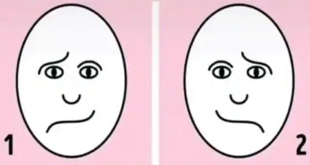 অপটিক্যাল ইলিউশন