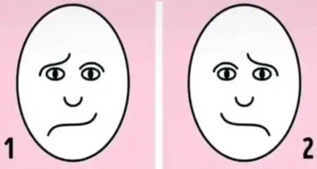 অপটিক্যাল ইলিউশন