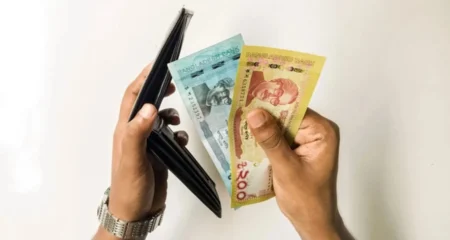 আয় বৃদ্ধি