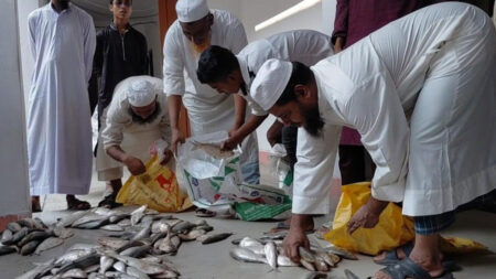 ইলিশ জব্দ