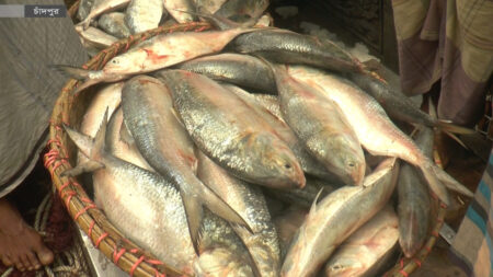 ইলিশ ধরা নিষিদ্ধ ২২ দিন