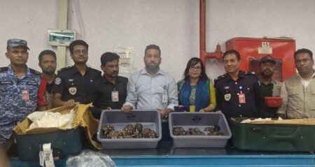 কচ্ছপ উদ্ধার