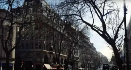 অপটিক্যাল ইলিউশন