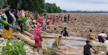 গাছের গুঁড়ি