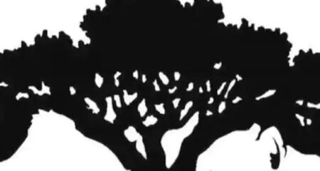 অপটিক্যাল ইলিউশনের