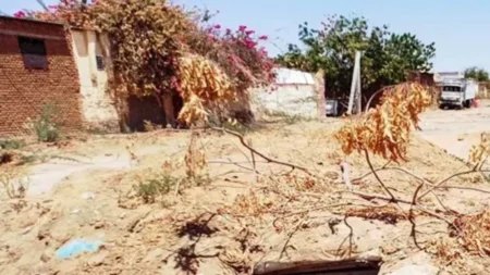 ড্রোন হামলা