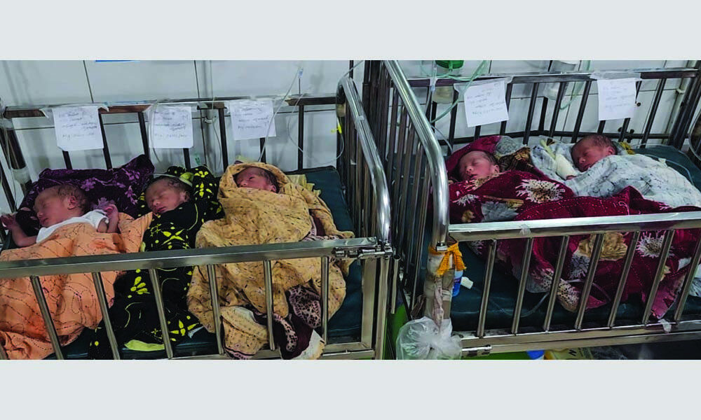 পাঁচ সন্তানের জন্ম