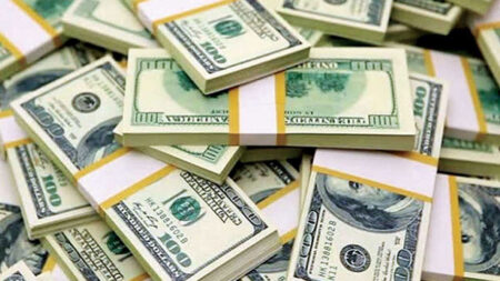 পাকিস্তানি উদ্যোক্তার প্রযুক্তি