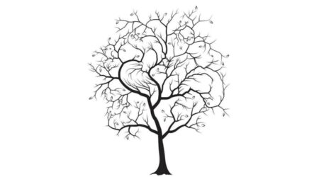 অপ্টিক্যাল ইলিউশন