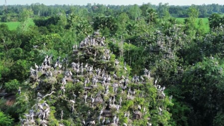 পাখির অভয়ারণ্য কানাইপুকুর গ্রাম