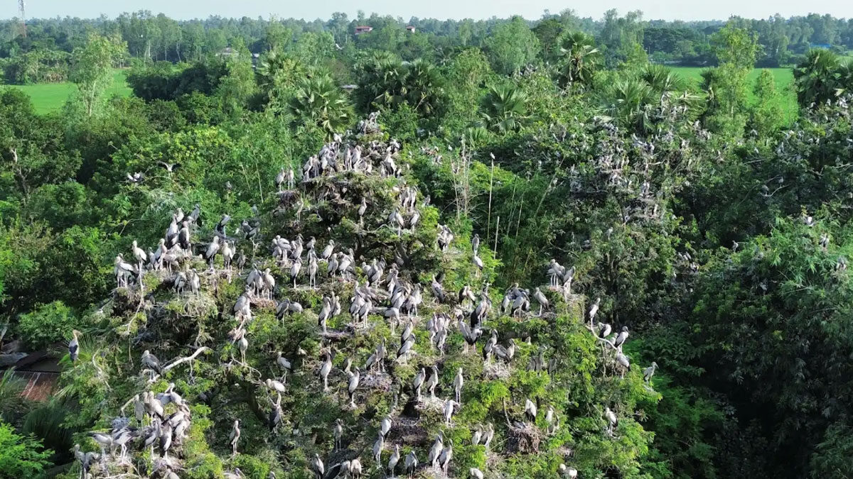পাখির অভয়ারণ্য কানাইপুকুর গ্রাম