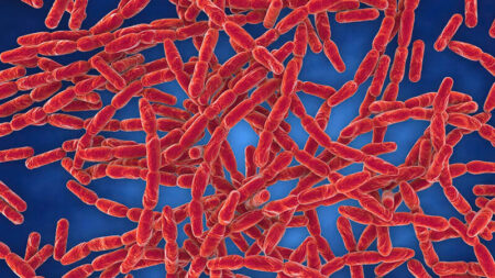 পীরগঞ্জে অ্যানথ্রাক্স উপসর্গ