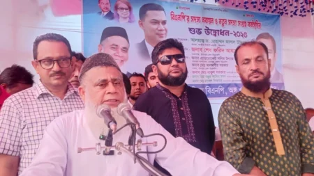 বিএনপির বিকল্প নেই