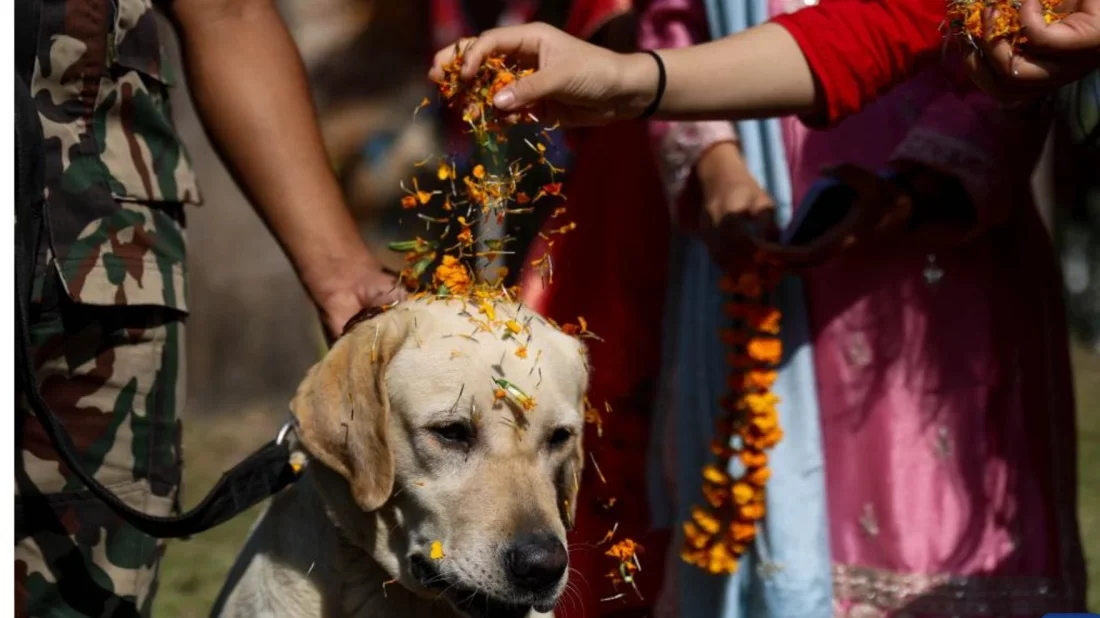 বিশেষ সম্মান
