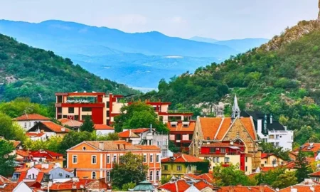 বুলগেরিয়ার ‘টাইপ ডি’ ভিসার আবেদন নেবে ভারতের ভিএফএস বুলগেরিয়ার ‘টাইপ ডি’ ভিসা