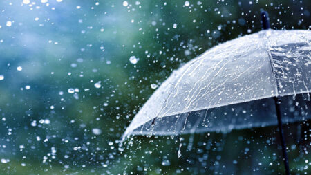 আগামী ৫ দিন কেমন বৃষ্টিপাতের প্রবণতা থাকবে, যা জানালো আবহাওয়া অফিস বৃষ্টিপাতের প্রবণতা