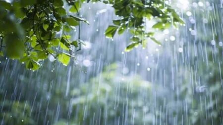 বৃষ্টির শঙ্কা