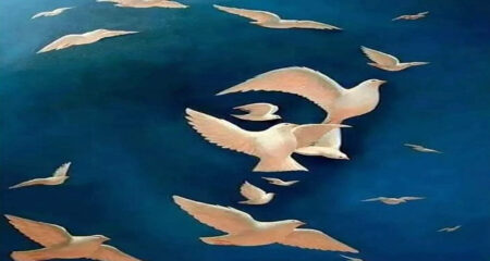 ভাইরাল হওয়া ছবি