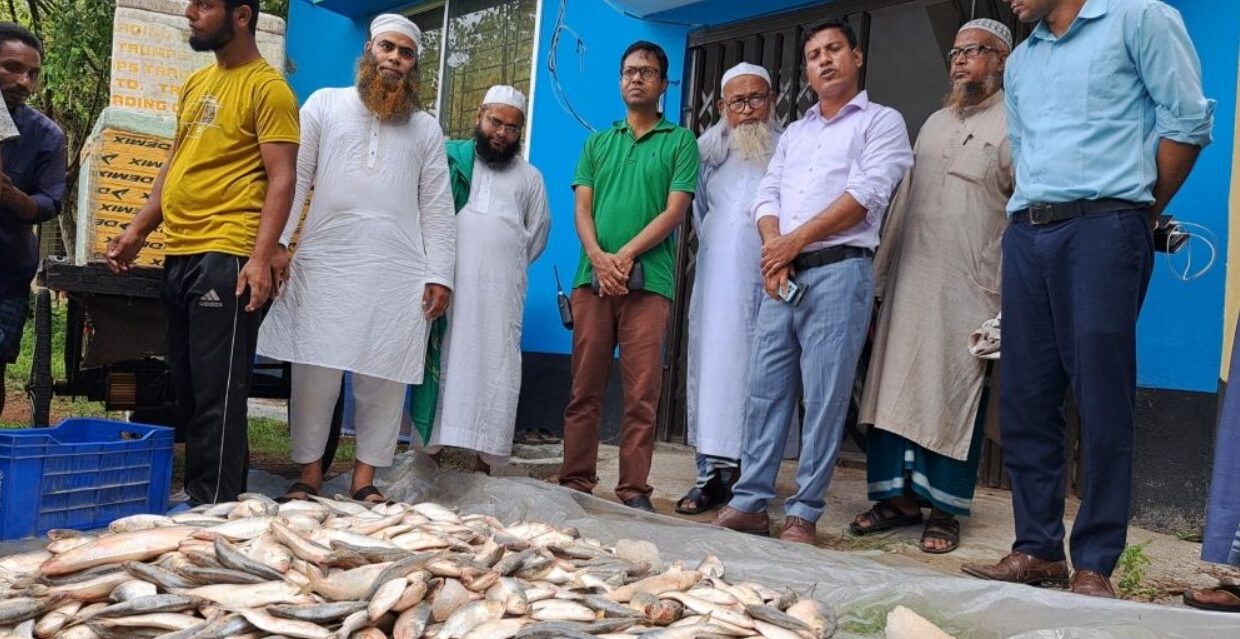 মা ইলিশ জব্দ