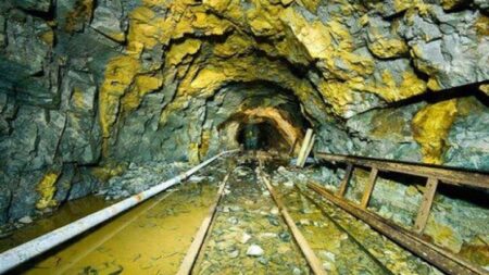 স্বর্ণের খনি