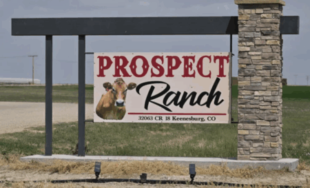 Cause of Death Revealed for Six Workers at Colorado Dairy Farm cause of death