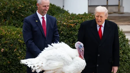 Trumps Turkey Pardon Ritual Shifts Into Political Roast Trump turkey pardon