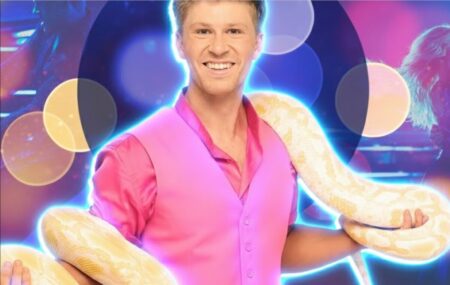 What happened to Steve Irwin