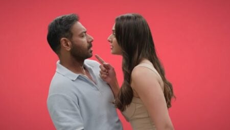 De De Pyaar De 2 box office collection