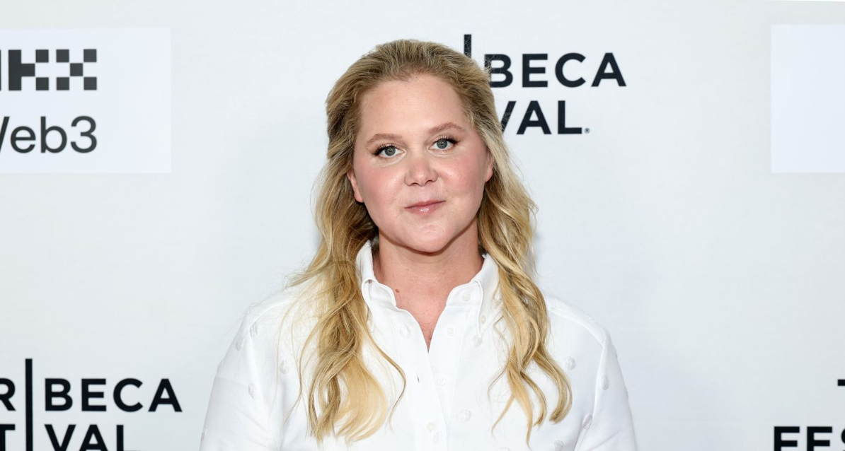 Amy Schumer Instagram photos deletion