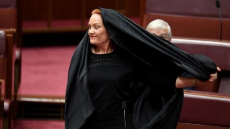 Australian Senator Pauline Hanson Sparks Outrage with Burqa Stunt in Parliament Australian Senator Pauline Hanson Sparks Outrage with Burqa Stunt in Parliament