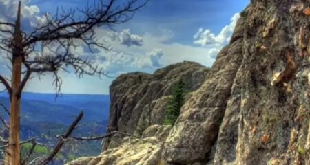 ছবিটি জুম করে লুকিয়ে থাকা বাজপাখি খুঁজে বের করার চ্যালেঞ্জ! আপনি পারবেন? ধাঁধাময় ছবি