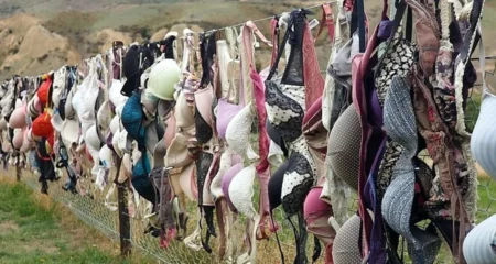 Cardrona Bra Fence