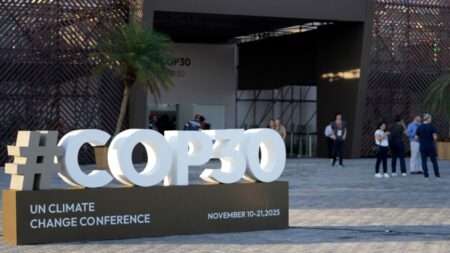 Brazil Navigates Tense Climate Negotiations at COP30 Summit COP30 climate negotiations