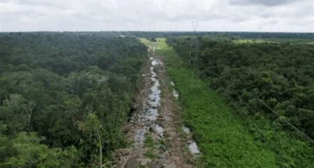 US Energy Secretary Dismisses COP30 Climate Summit as Global Leaders Decry American Absence COP30 climate summit