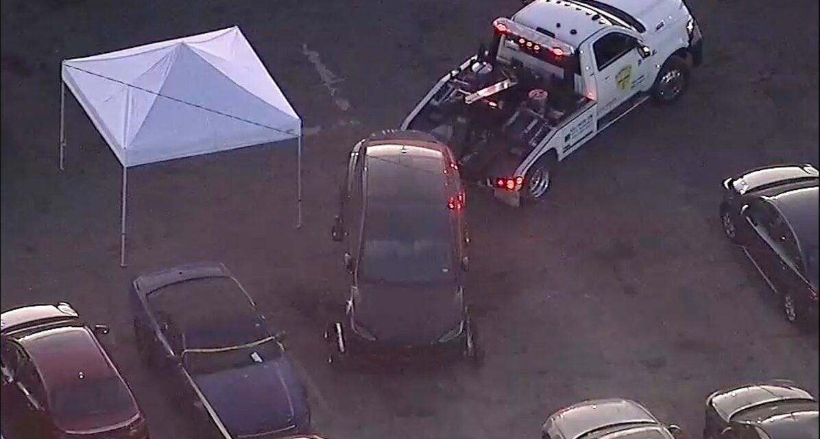 D4vd Tesla Body Discovery Shocks Music Industry as Victim is Identified