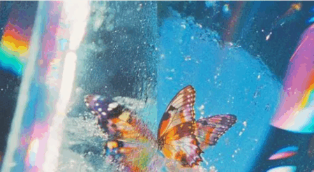 Daphni Announces New Album ‘Butterfly’ with Surprise Caribou Collaboration Daphni Butterfly album