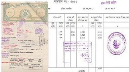 জমির মালিকানা