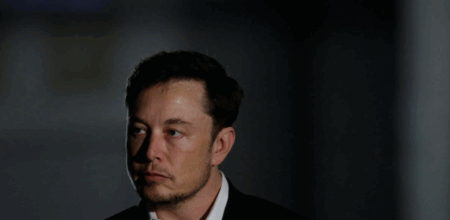 Elon Musk political stress