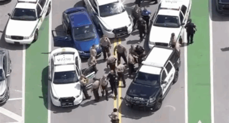 Tampa Police Chase Ends in Tragedy, Leaving Four Dead and 13 Injured Florida police chase