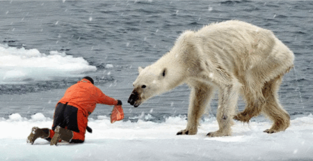 FoodwithBearHands death